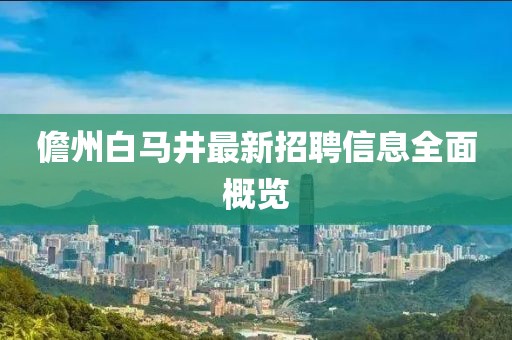 儋州白马井最新招聘信息全面概览