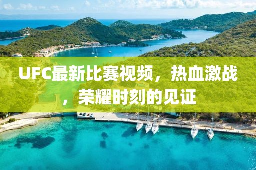 UFC最新比赛视频，热血激战，荣耀时刻的见证