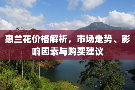 惠兰花价格解析，市场走势、影响因素与购买建议