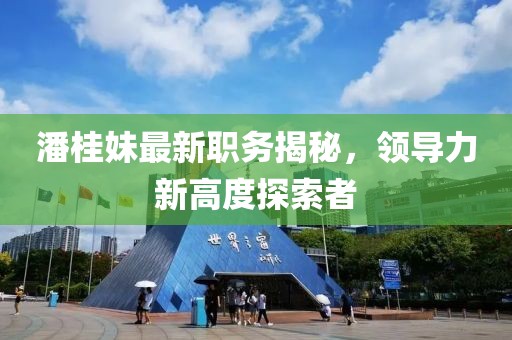 潘桂妹最新职务揭秘，领导力新高度探索者