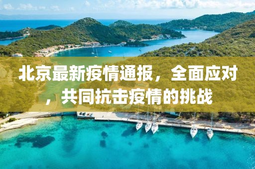北京最新疫情通报，全面应对，共同抗击疫情的挑战