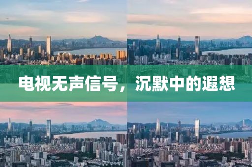 电视无声信号，沉默中的遐想