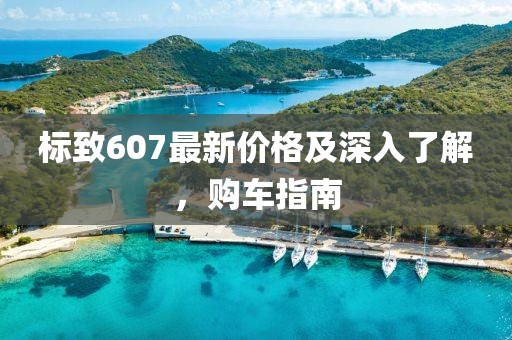 标致607最新价格及深入了解，购车指南