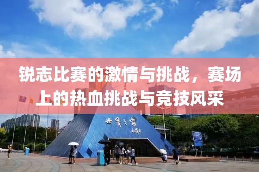 锐志比赛的激情与挑战，赛场上的热血挑战与竞技风采