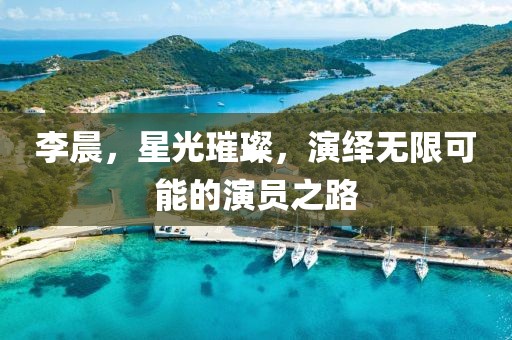 李晨，星光璀璨，演绎无限可能的演员之路