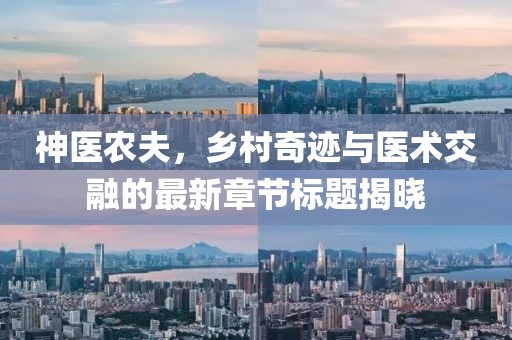 神医农夫，乡村奇迹与医术交融的最新章节标题揭晓