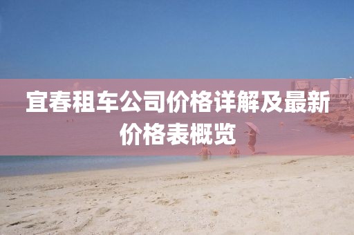 宜春租车公司价格详解及最新价格表概览