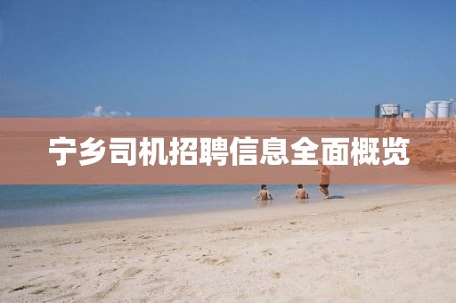 宁乡司机招聘信息全面概览