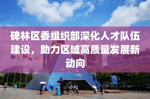 碑林区委组织部深化人才队伍建设，助力区域高质量发展新动向