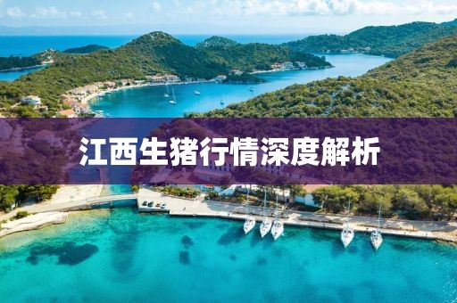 江西生猪行情深度解析