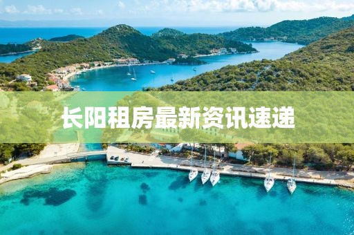 长阳租房最新资讯速递
