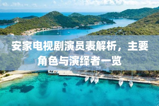 安家电视剧演员表解析，主要角色与演绎者一览