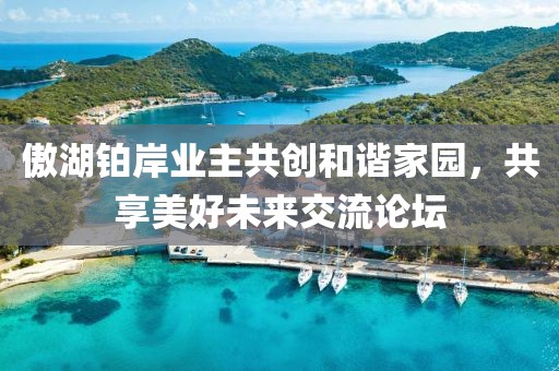 傲湖铂岸业主共创和谐家园，共享美好未来交流论坛
