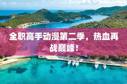 全职高手动漫第二季，热血再战巅峰！