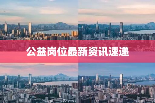 公益岗位最新资讯速递