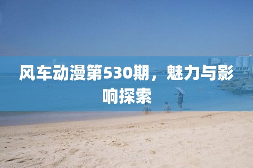 风车动漫第530期，魅力与影响探索