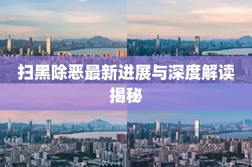 扫黑除恶最新进展与深度解读揭秘