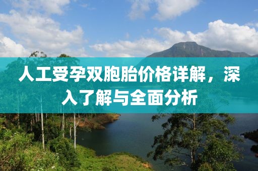 人工受孕双胞胎价格详解，深入了解与全面分析