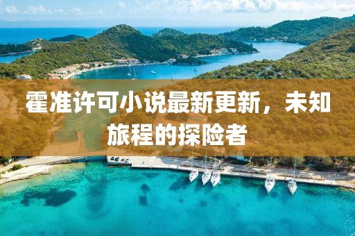 霍准许可小说最新更新，未知旅程的探险者