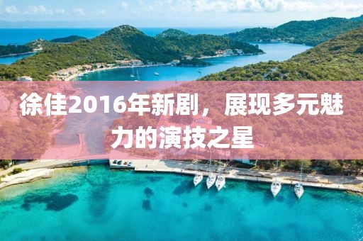 徐佳2016年新剧，展现多元魅力的演技之星
