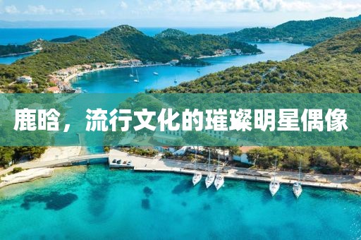 鹿晗，流行文化的璀璨明星偶像
