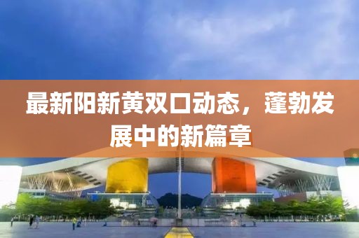 最新阳新黄双口动态，蓬勃发展中的新篇章