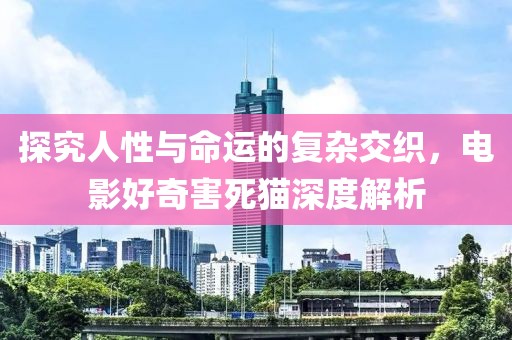探究人性与命运的复杂交织，电影好奇害死猫深度解析