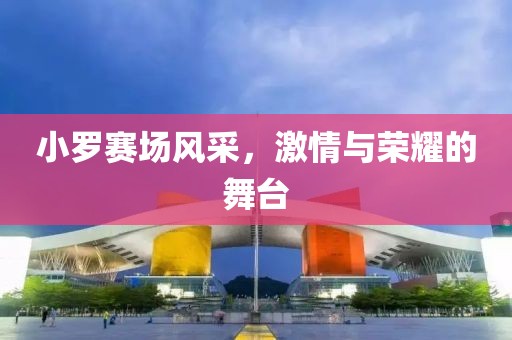 小罗赛场风采，激情与荣耀的舞台