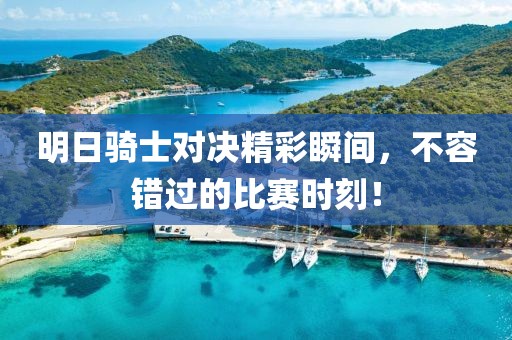 明日骑士对决精彩瞬间，不容错过的比赛时刻！