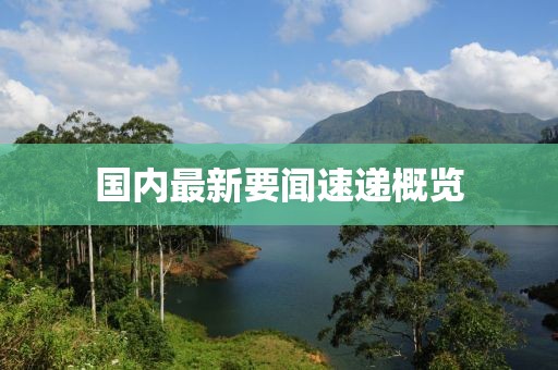 国内最新要闻速递概览