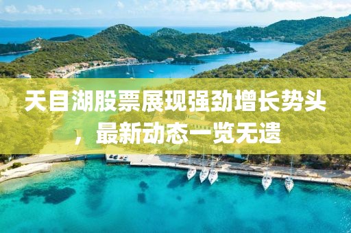 天目湖股票展现强劲增长势头，最新动态一览无遗