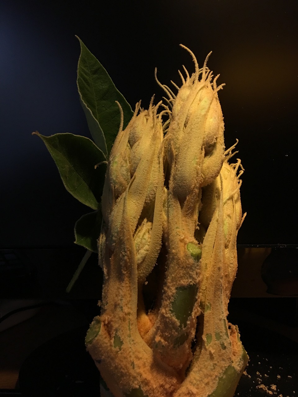 麻城矿山探索绿色发展与持续利用的新路径最新动态