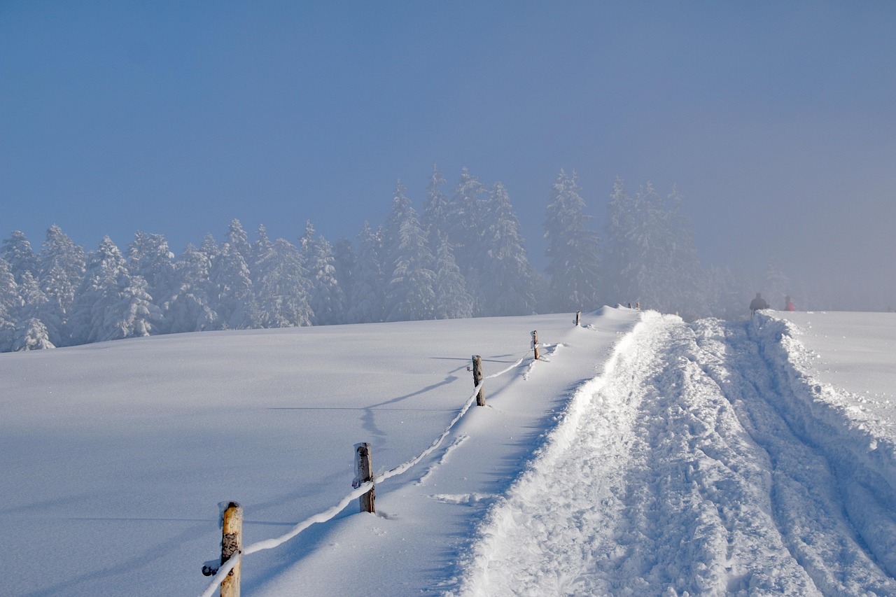 南山最新雪景，雪落人间，美不胜收的美景