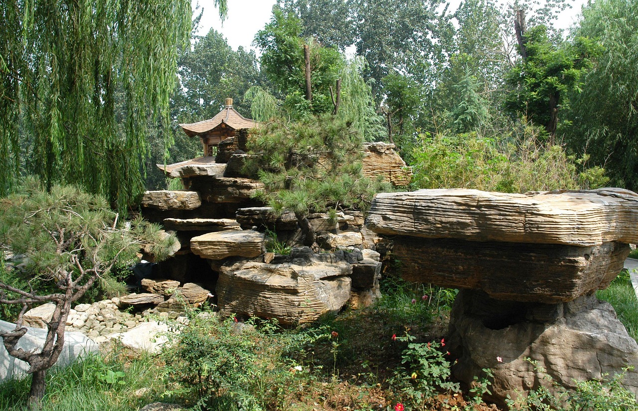 野生天门冬价格揭秘，影响因素与市场价格分析