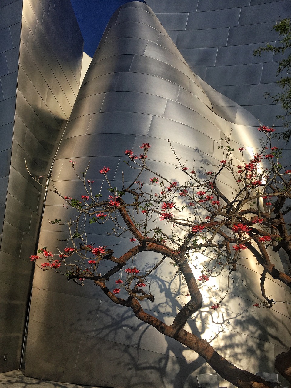绥延高速最新进展，建设动态、未来规划与影响分析